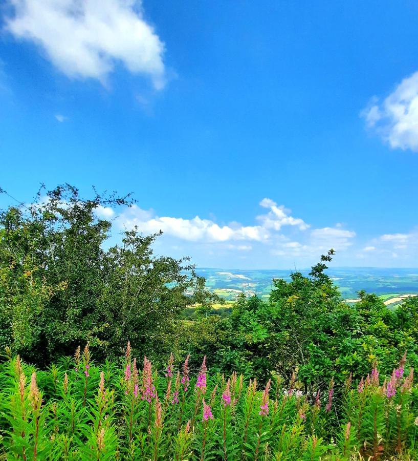 Summit Camping Kit Hill Cornwall Panoramic Views Grass Pitch From 15Pn Or Bella Bell Tent 75Pn Callington Exterior photo