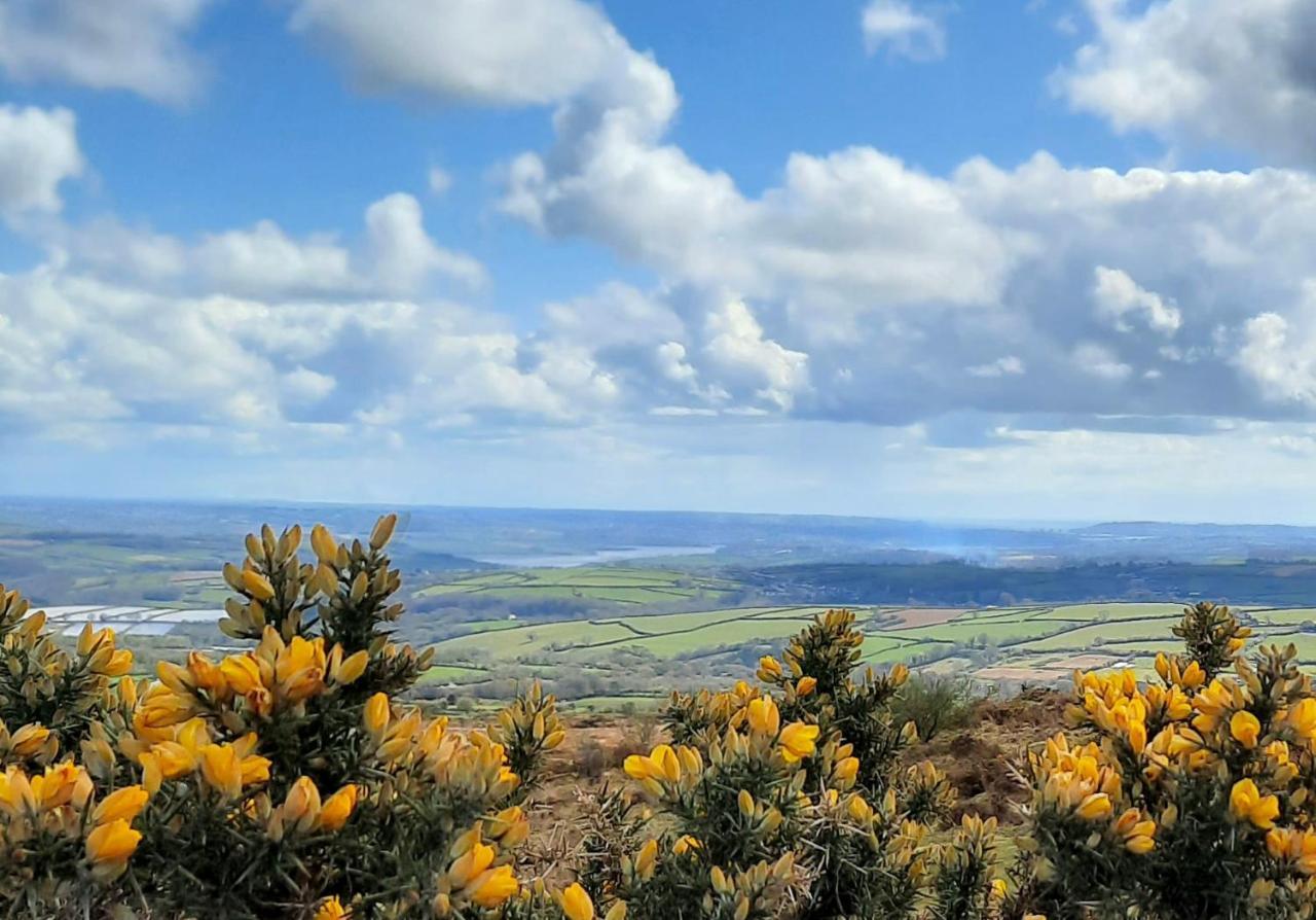 Summit Camping Kit Hill Cornwall Panoramic Views Grass Pitch From 15Pn Or Bella Bell Tent 75Pn Callington Exterior photo