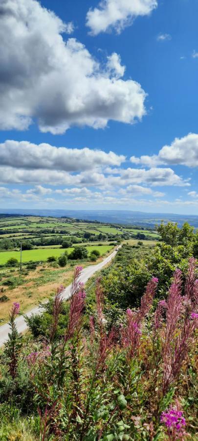 Summit Camping Kit Hill Cornwall Panoramic Views Grass Pitch From 15Pn Or Bella Bell Tent 75Pn Callington Exterior photo
