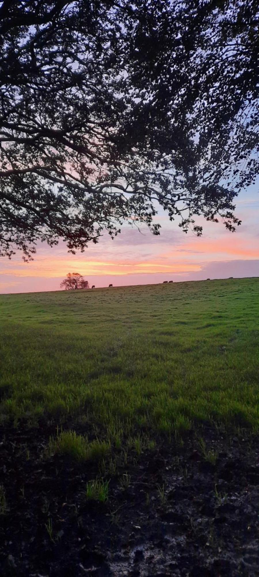 Summit Camping Kit Hill Cornwall Panoramic Views Grass Pitch From 15Pn Or Bella Bell Tent 75Pn Callington Exterior photo